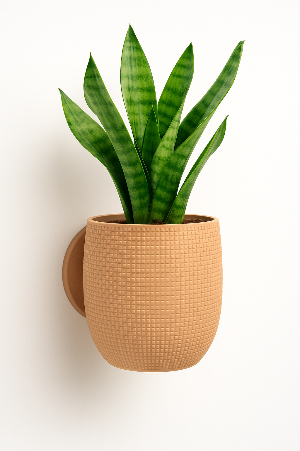 Elegant väggkruka i beige 3D-printad design monterad på vägg med grön växt
