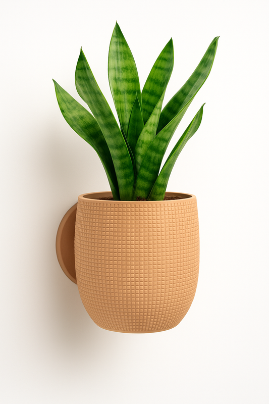 Elegant väggkruka i beige 3D-printad design monterad på vägg med grön växt
