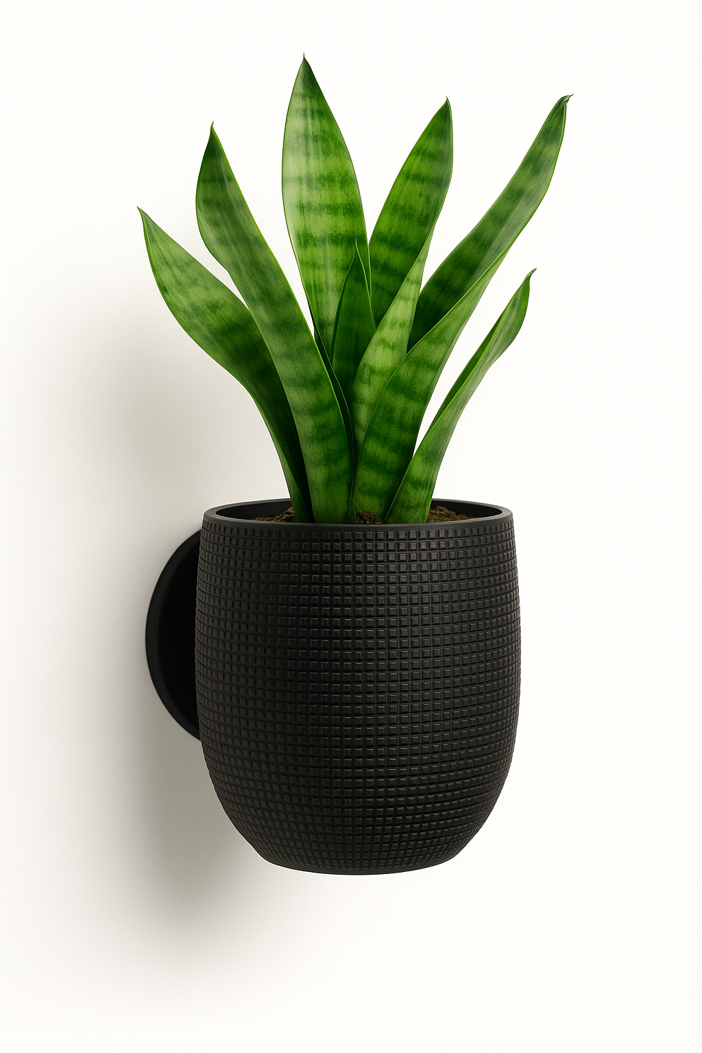 Elegant väggkruka i svart 3D-printad design - färgvariant
