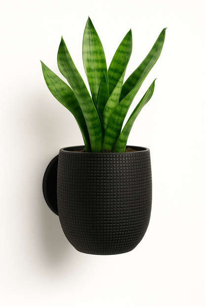 Elegant väggkruka i svart 3D-printad design - färgvariant
